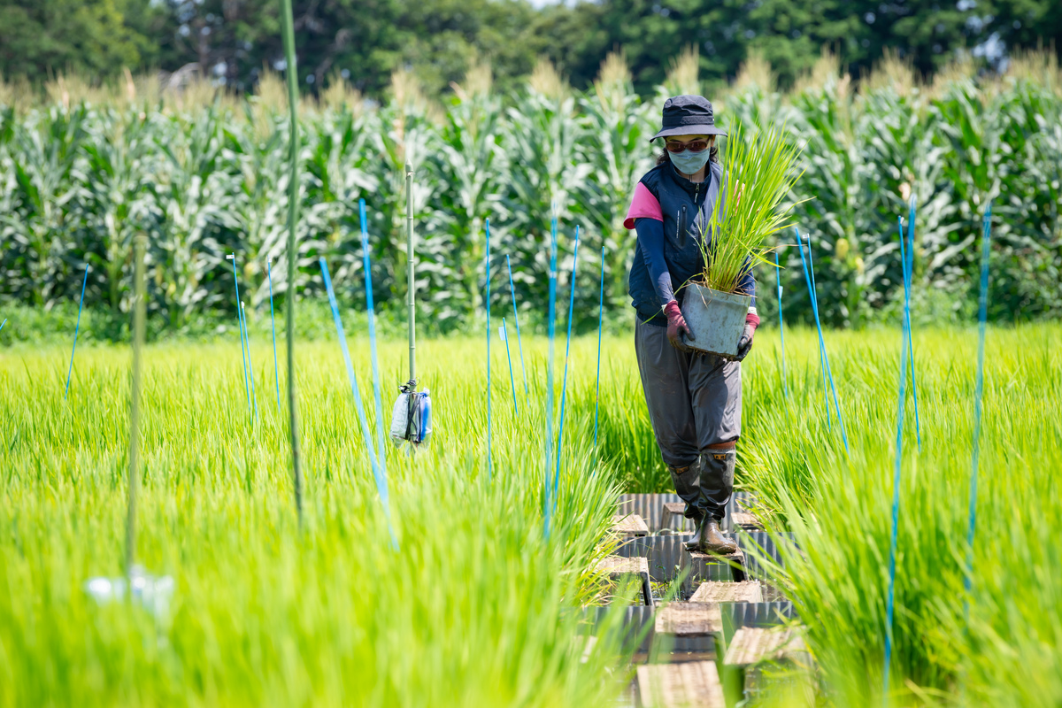 農業・生態系保全ユニット イメージ2