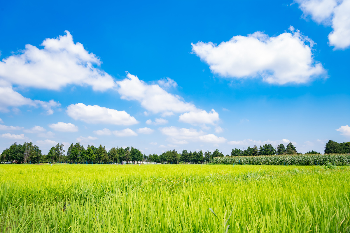 農業・生態系保全ユニット イメージ9