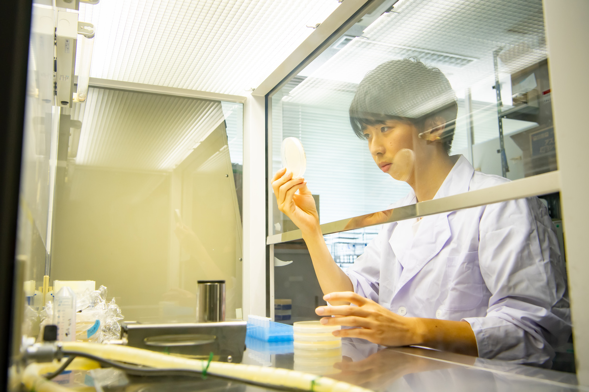 微生物遺伝情報解析ユニット イメージ3