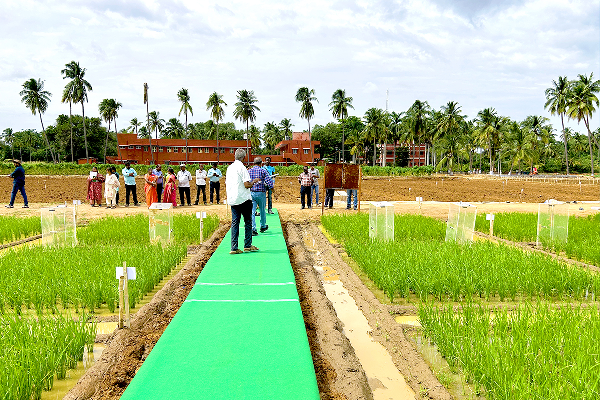 社会共創ユニット イメージ3