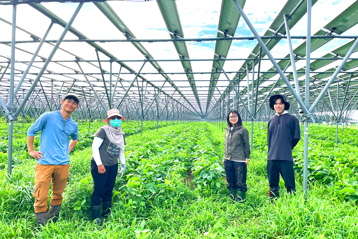 社会共創ユニット イメージ6