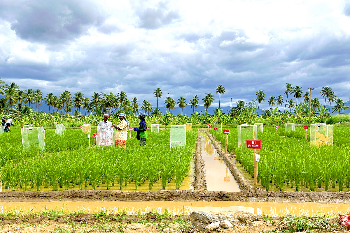 社会共創ユニット イメージ10